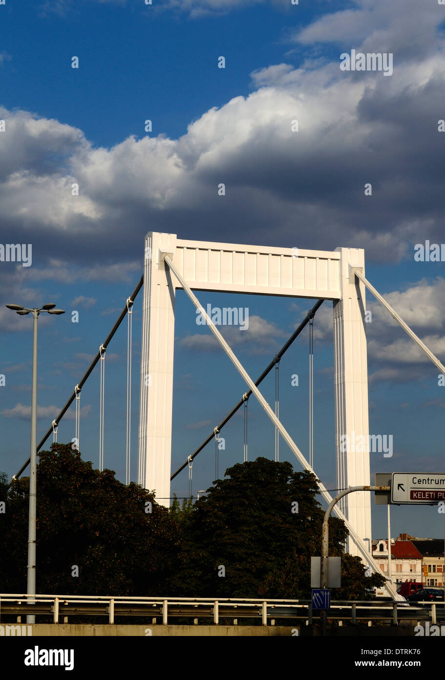 Ungheria Budapest ponte Elisabetta (Erzsébet hid) vista dal lato di Buda Foto Stock