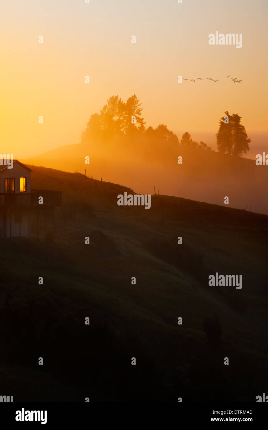 Sunrise e early morning mist sulle colline e valli Mangawhai, Northland e North Island, Nuova Zelanda Foto Stock