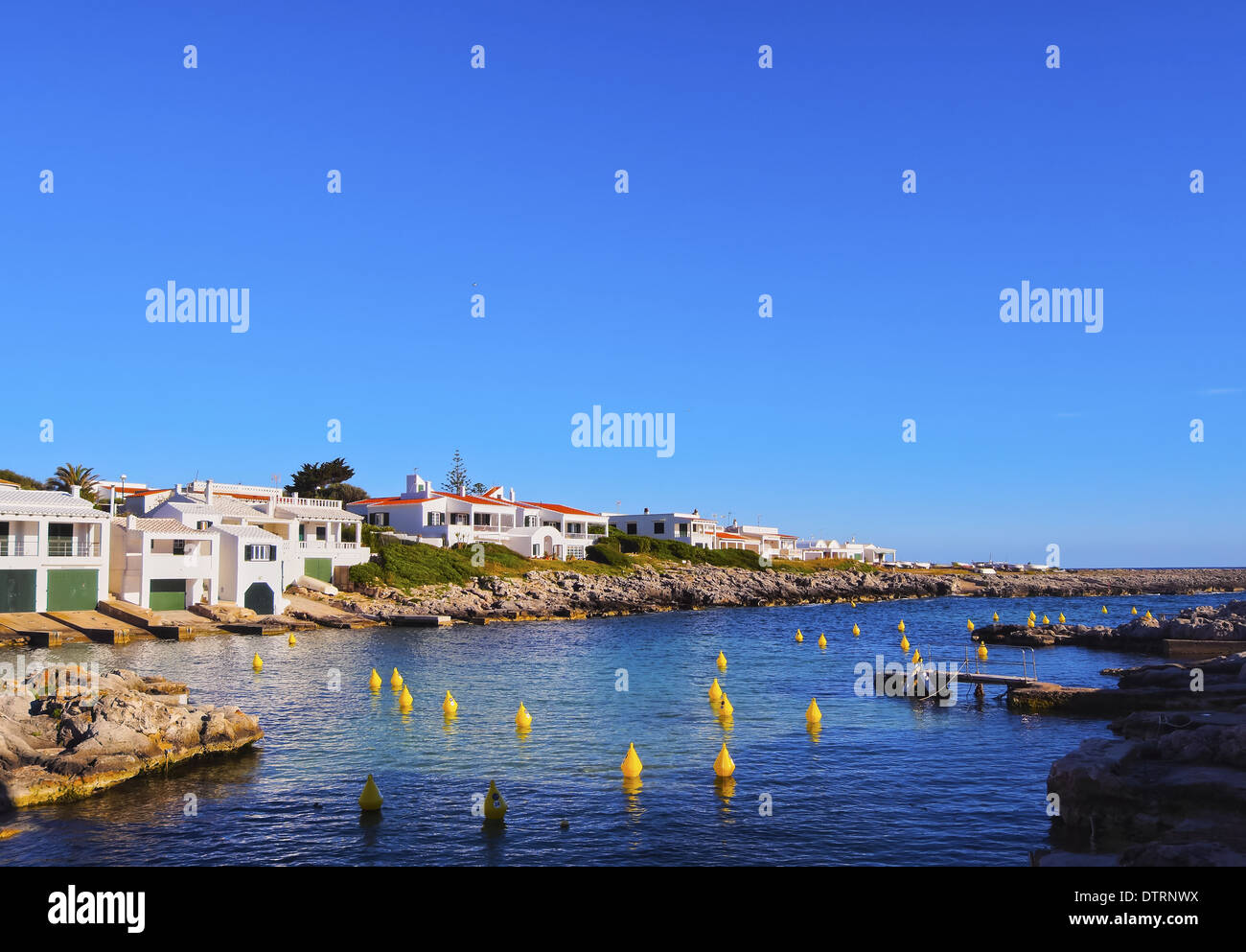 Boe di colore giallo sulla costa meridionale a Minorca, Isole Baleari, Spagna Foto Stock