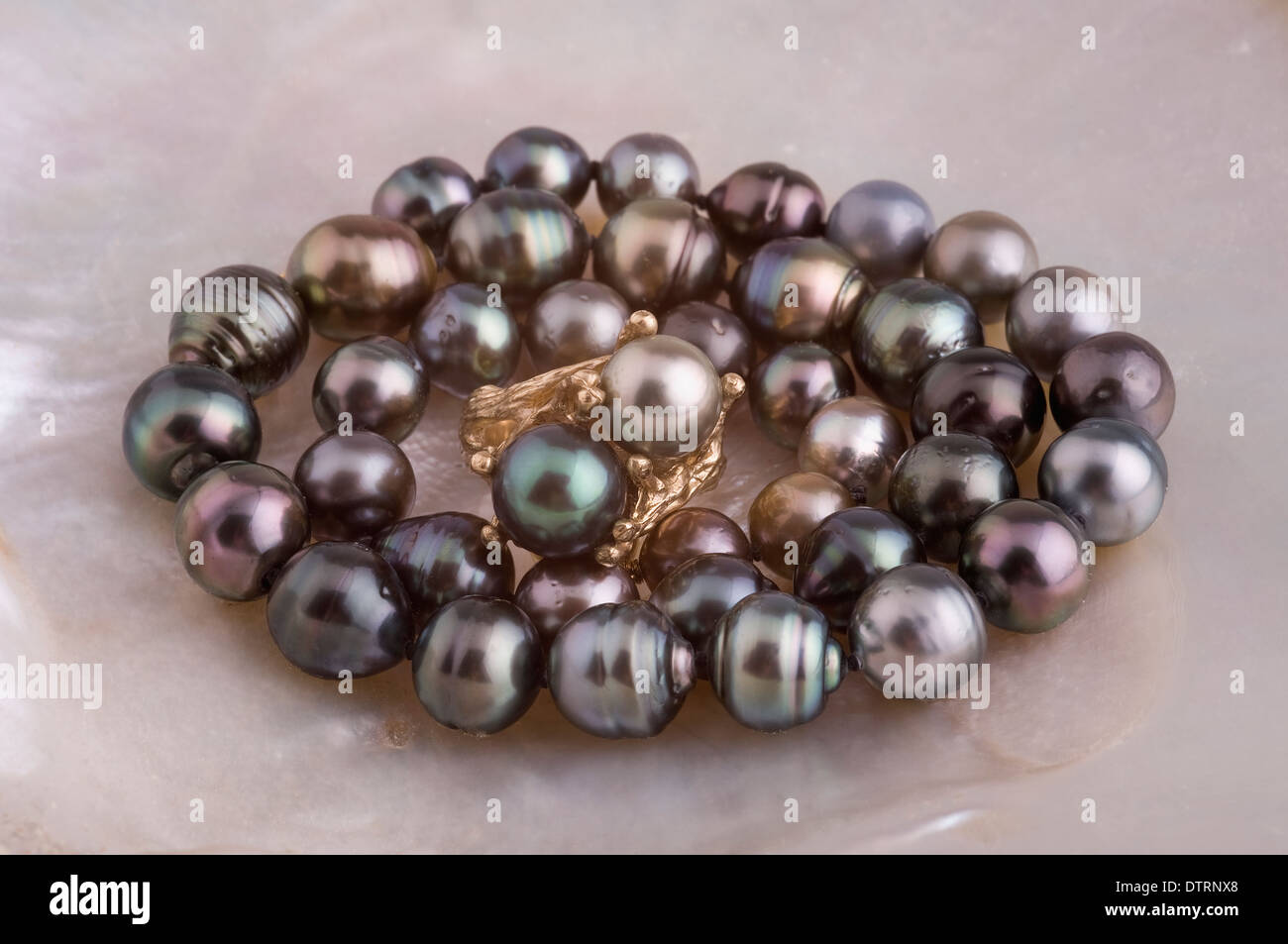 Anello perla su letto di perle nere e guscio di ostrica Foto Stock