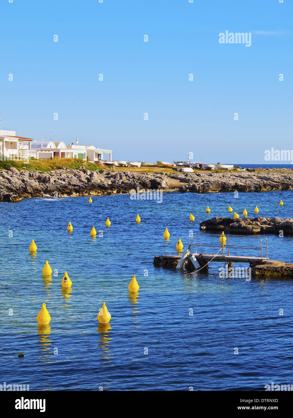 Boe di colore giallo sulla costa meridionale a Minorca, Isole Baleari, Spagna Foto Stock