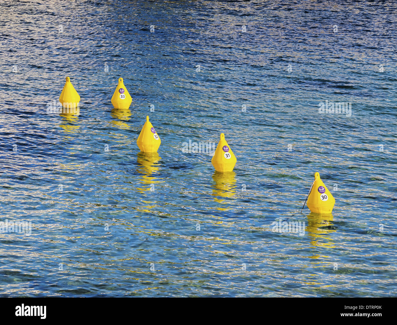 Boe di colore giallo sulla costa meridionale a Minorca, Isole Baleari, Spagna Foto Stock