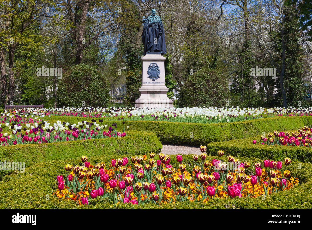 Fiori Cardiff Galles U.K. Foto Stock