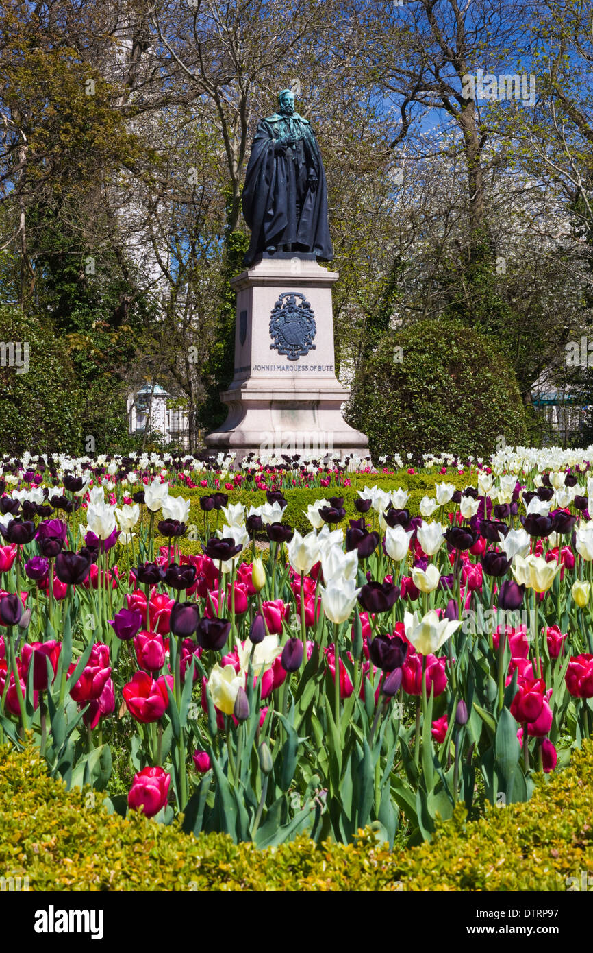 Fiori Cardiff Galles U.K. Foto Stock