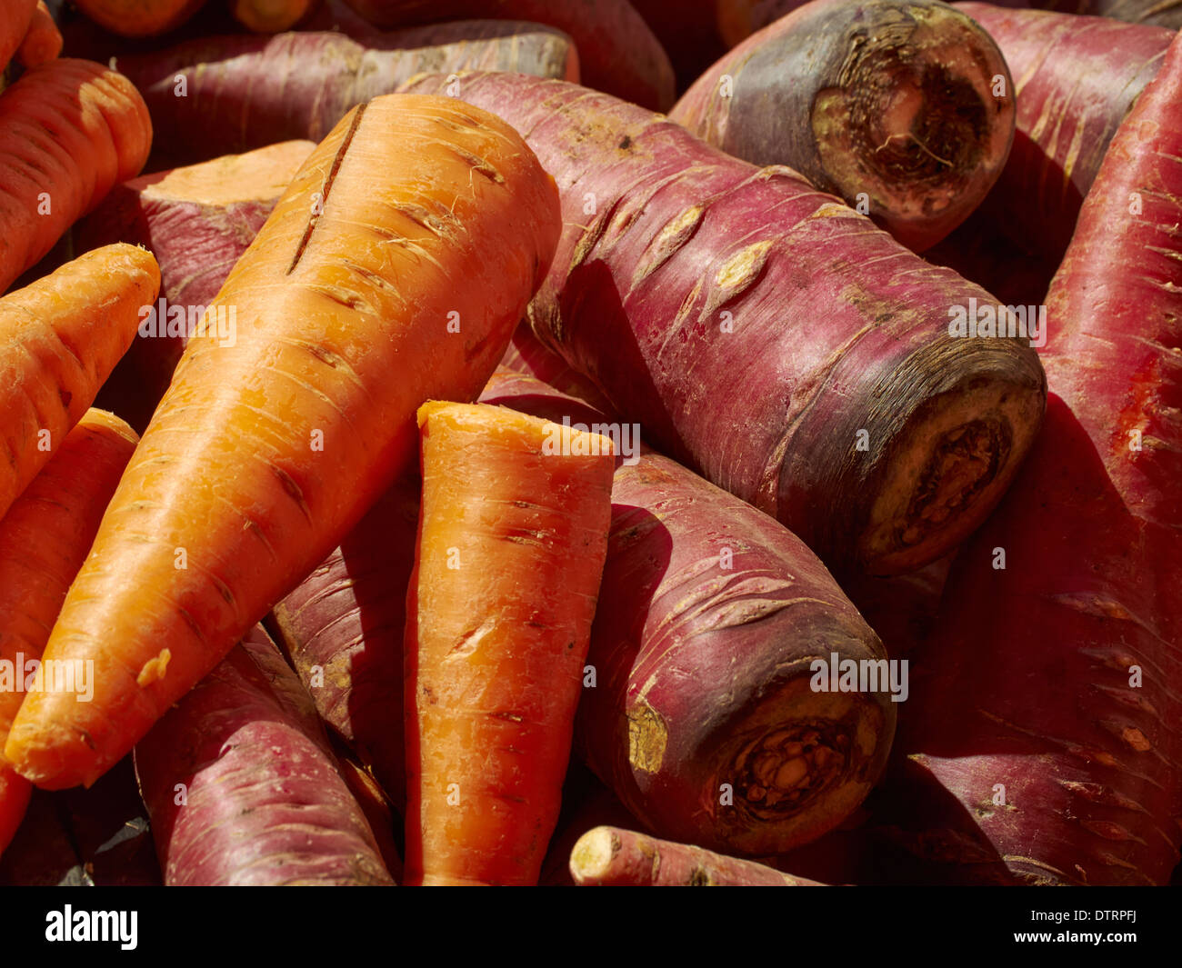 Le carote sul display, Union Square, Greenmarket New York City, Stati Uniti d'America Foto Stock