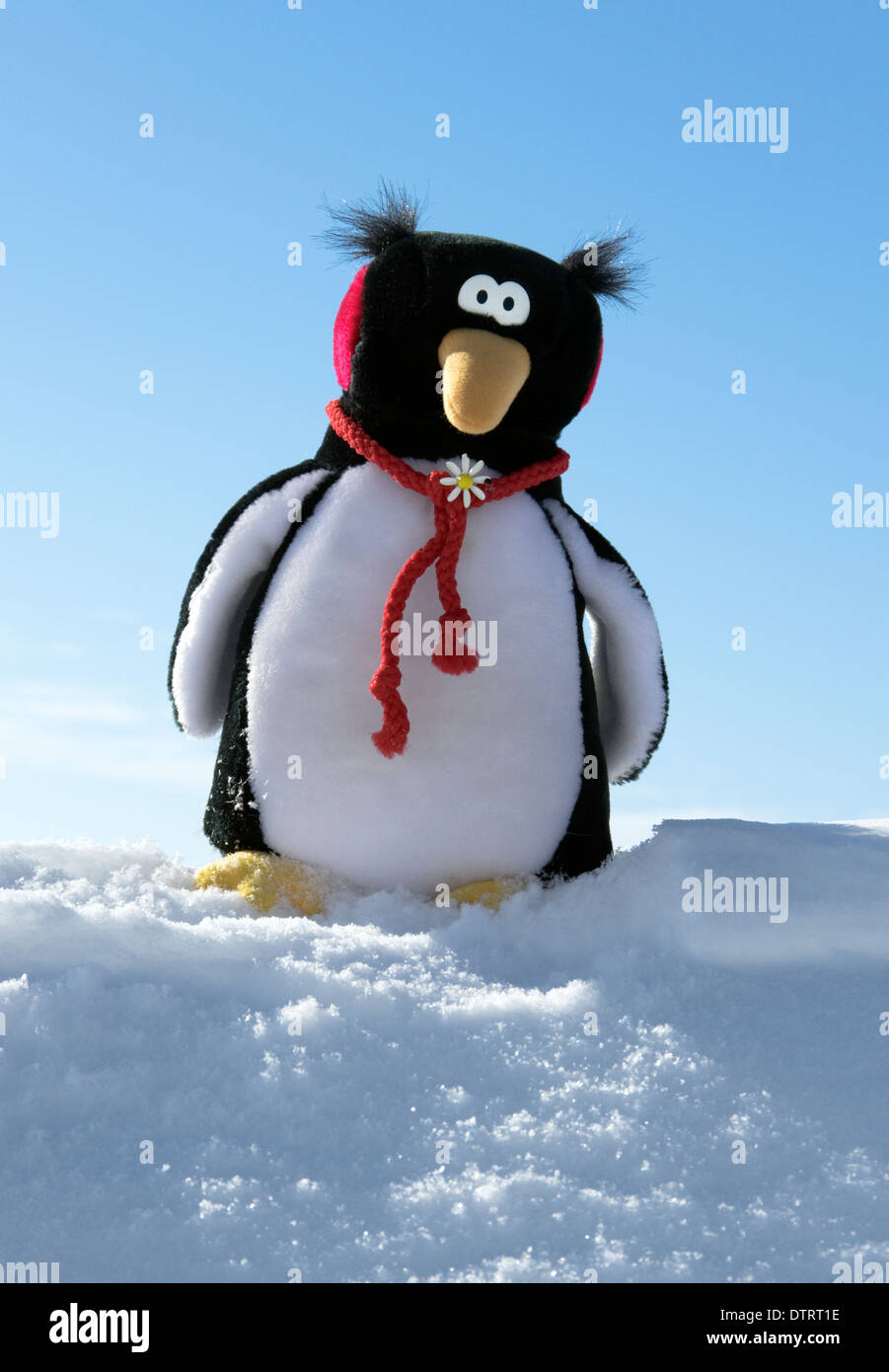 Pinguino giocattolo di peluche sulla neve Foto Stock