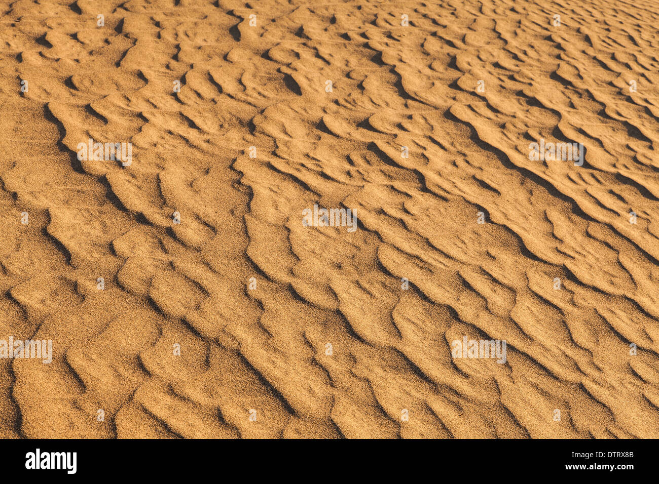 Le dune di sabbia di Mesquite piatto nella Valle della Morte nel deserto - California Foto Stock