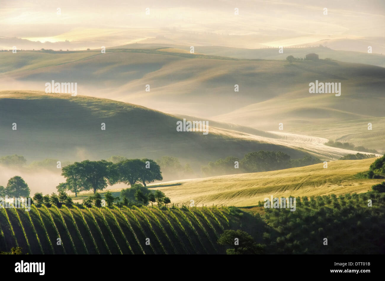 Toskana Huegel - Toscana colline 11 Foto Stock