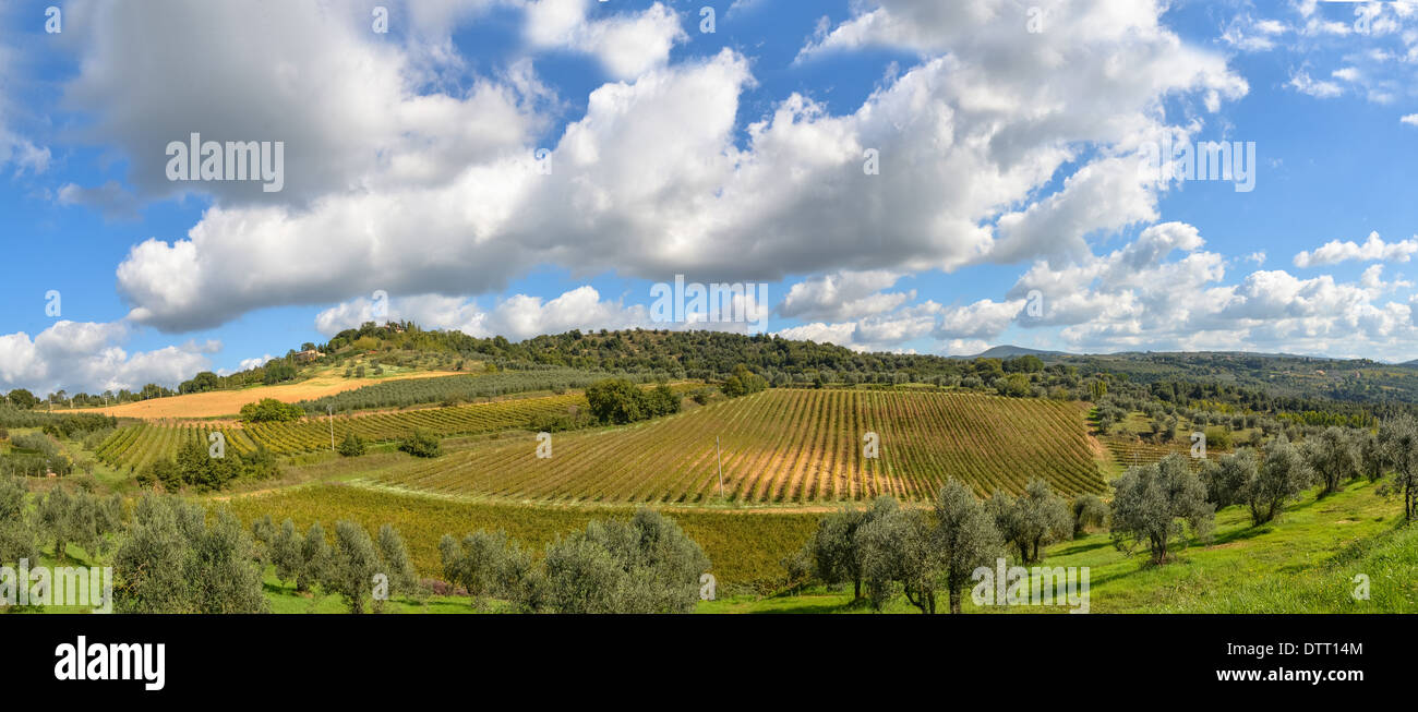 Il panorama del paesaggio Tuscana in Italia Foto Stock
