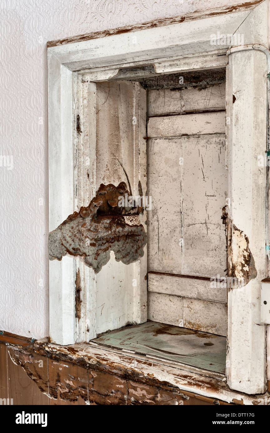Un corpo fruttifero di dry rot fungus in una casa vuota, REGNO UNITO Foto Stock