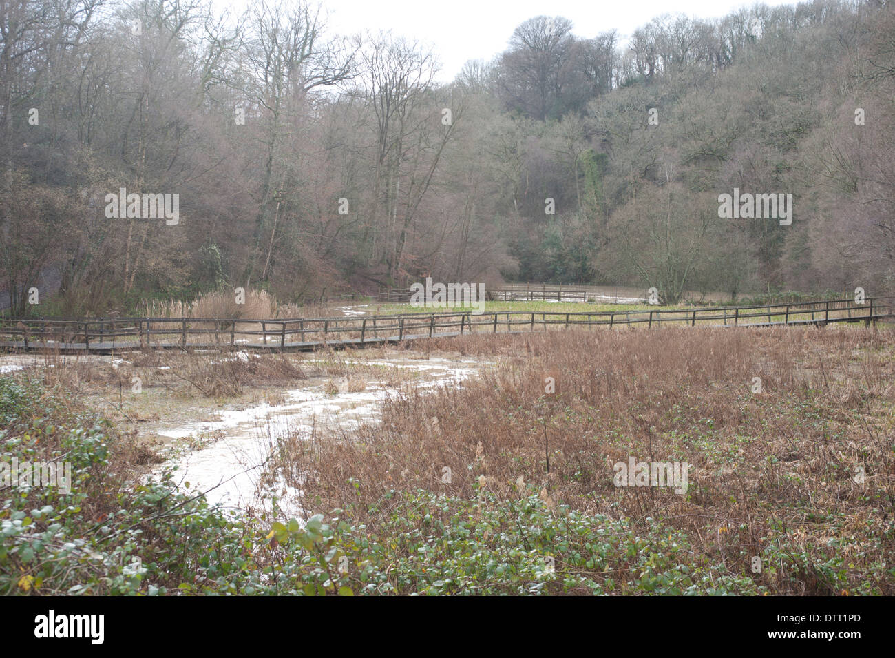 Le inondazioni del fiume Loder, West Sussex, Regno Unito. Febbraio 2014 Foto Stock