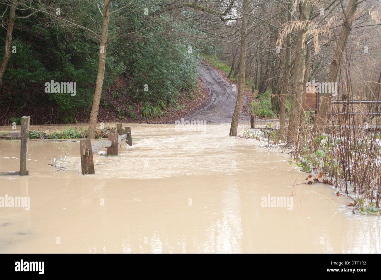 Le inondazioni del fiume Loder, West Sussex, Regno Unito. Febbraio 2014 Foto Stock