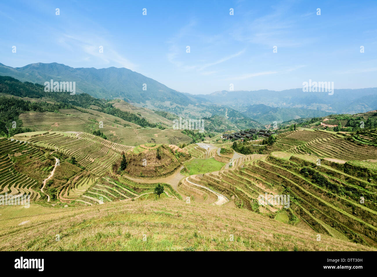 Cinese i campi terrazzati paesaggio Foto Stock