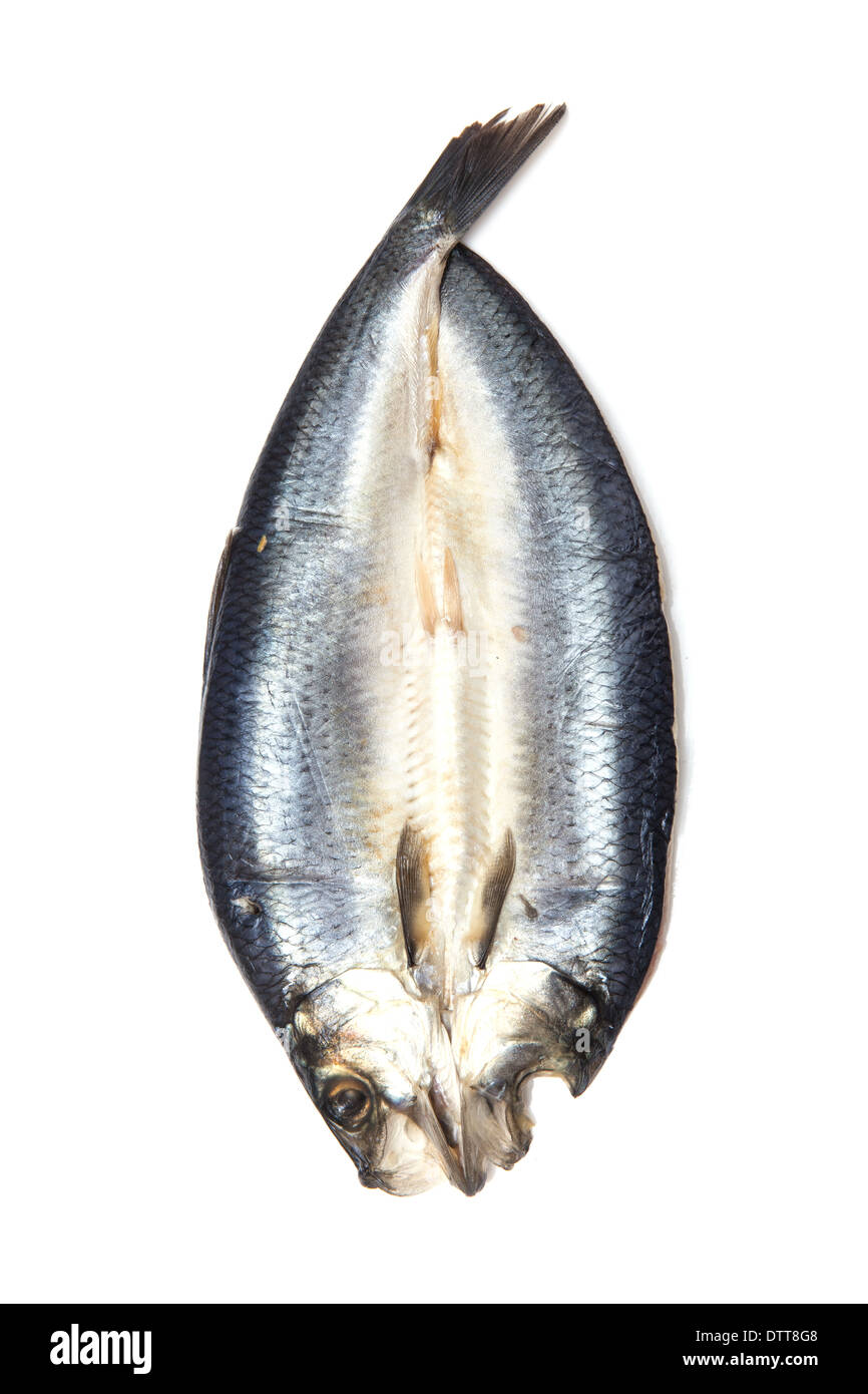 Non tinti Kipper affumicato (aringa pesce) isolato su un bianco di sfondo per studio. Foto Stock