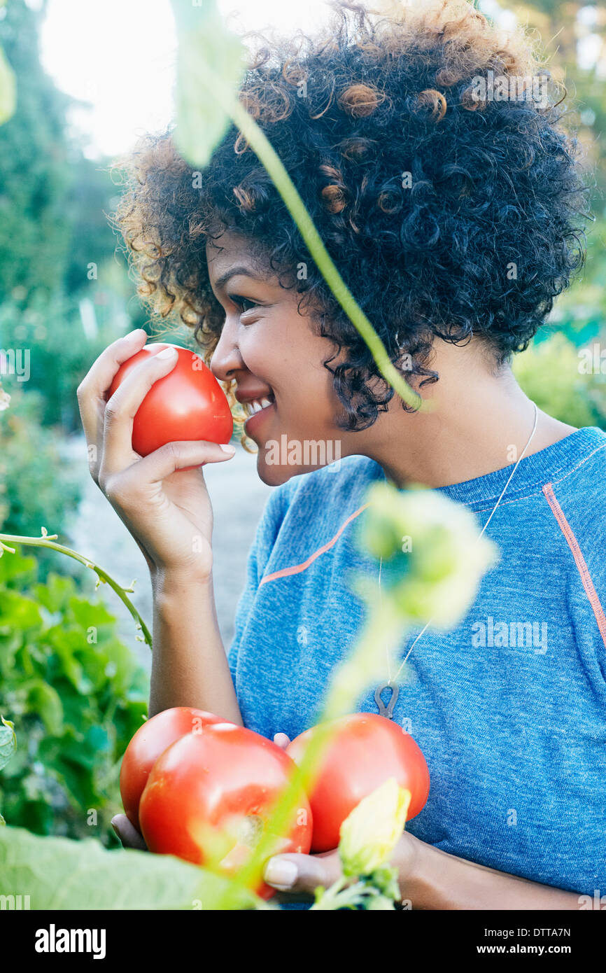 Razza mista donna odorare i pomodori in giardino Foto Stock