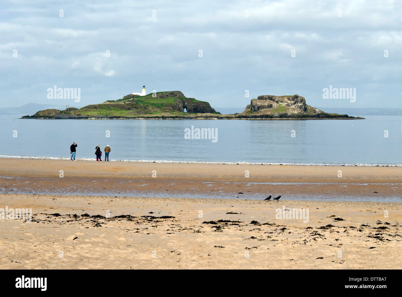 L'isola di Fidra vicino a North Berwick in East Lothian, Scozia. Foto Stock