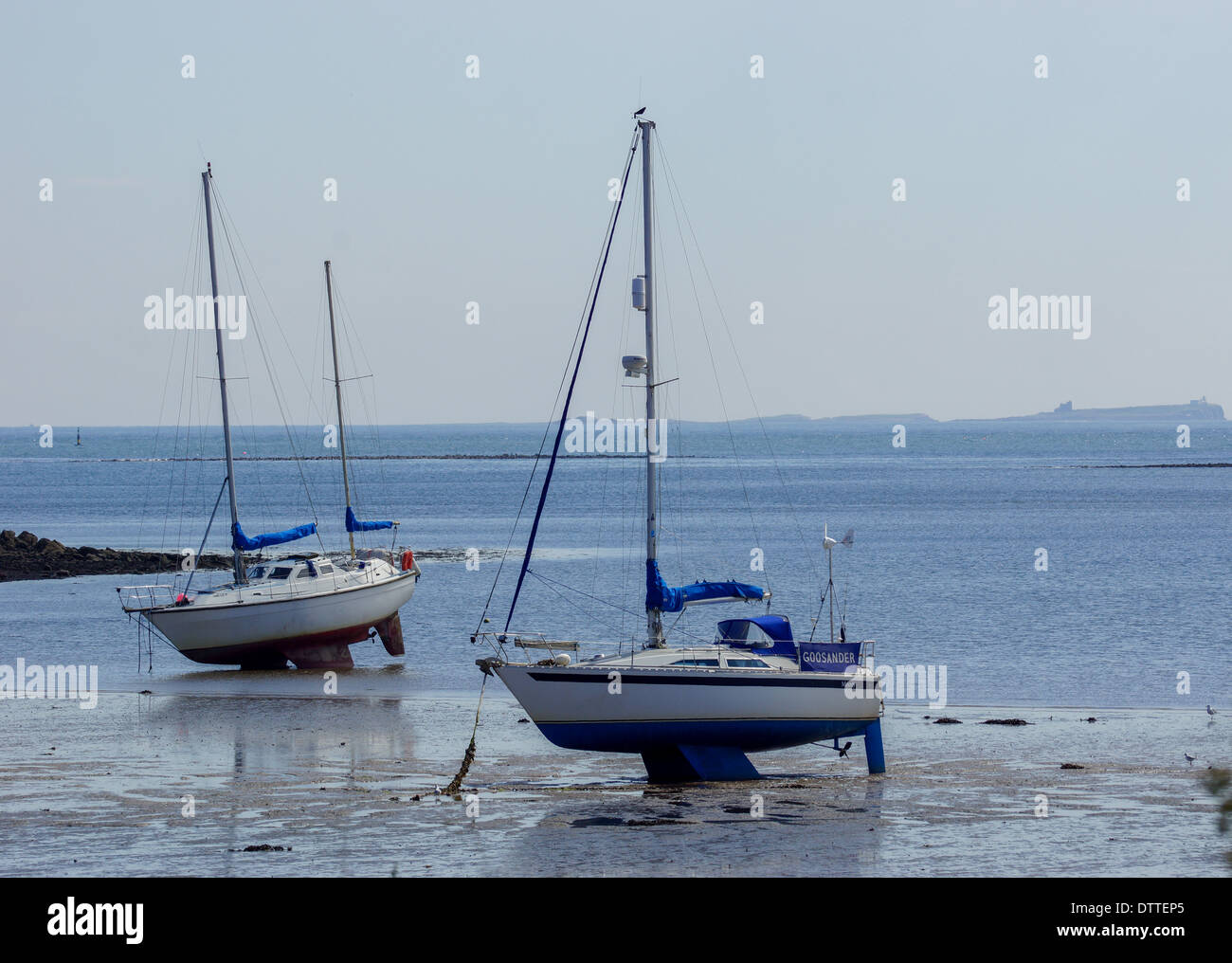 Barche e yacht a bassa marea Foto Stock