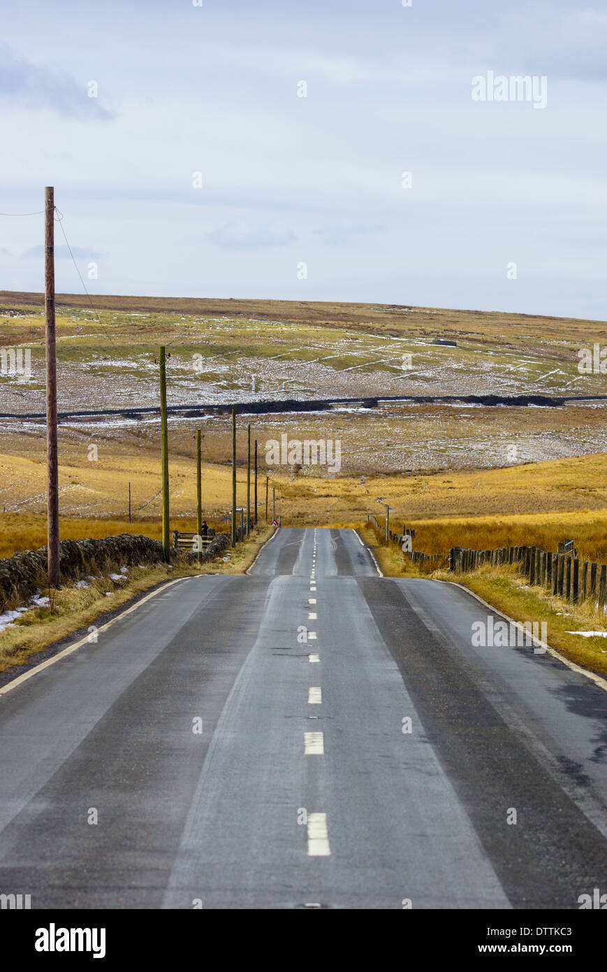 Autostrada del paese con la strada diritta rivestita con pali telefonici Foto Stock
