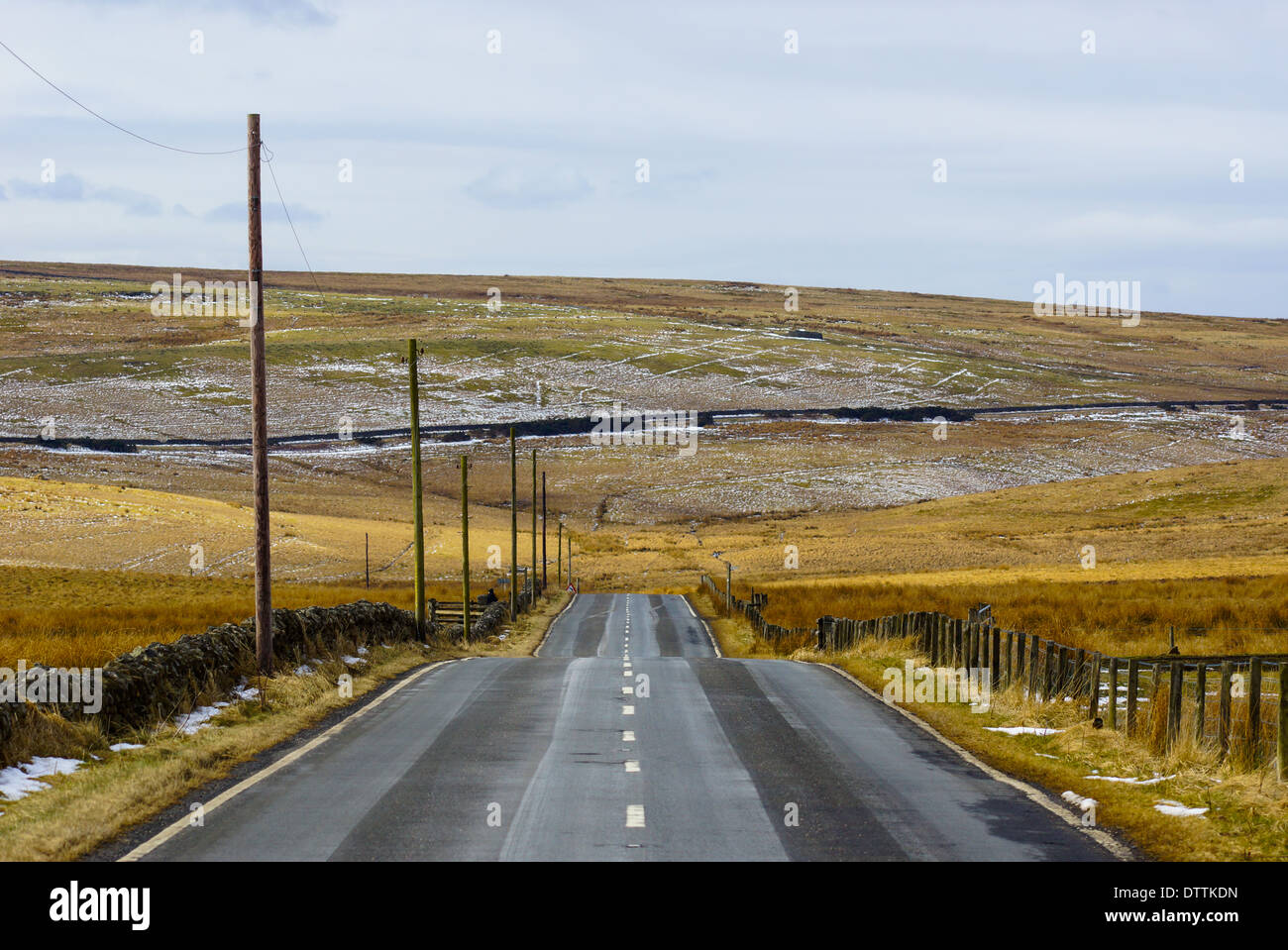 Autostrada del paese con la strada diritta rivestita con pali telefonici Foto Stock