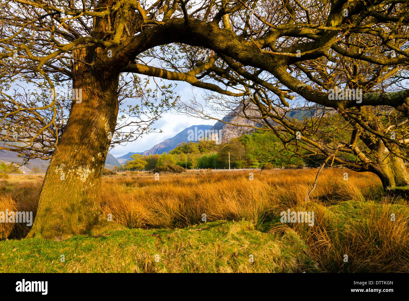 Dolbadarn Castle e Llanberis Pass Snowdonia Gwynedd Wales UK Foto Stock