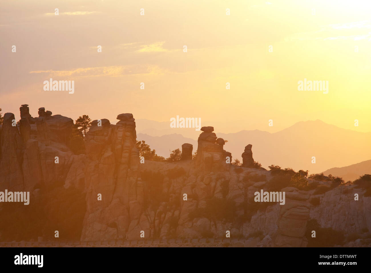 Batterfly Foto Stock