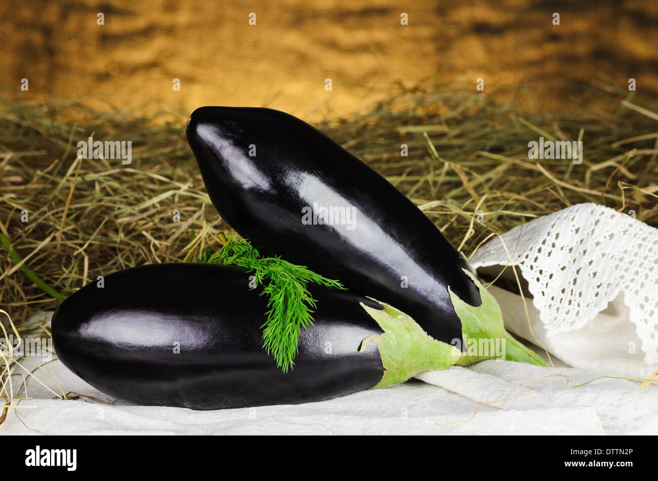 Melanzane Foto Stock