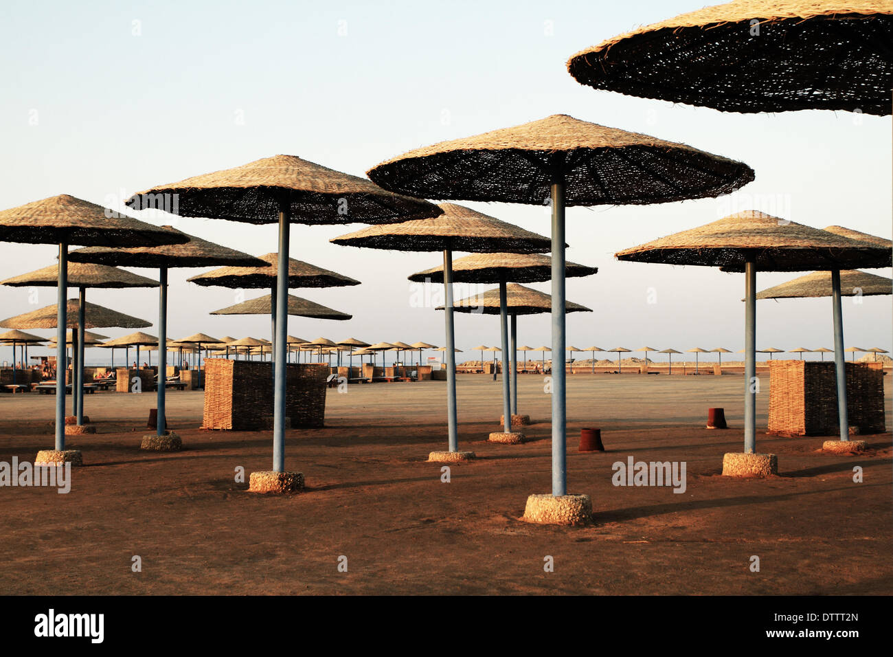 Sunrise egiziano sotto ombrelloni sulla spiaggia Foto Stock