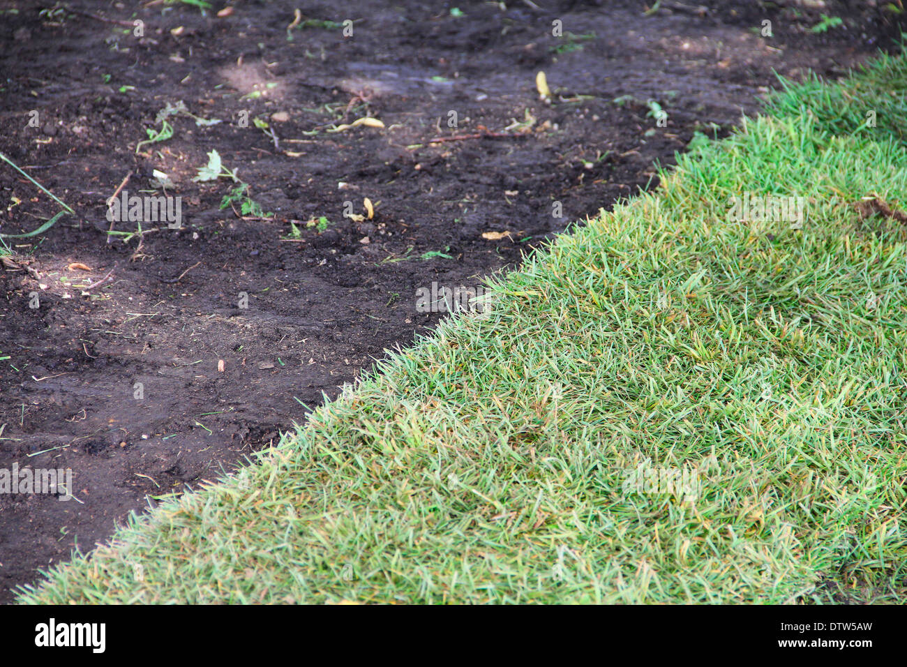 Zolla verde erba e terra bruna sfondo Foto Stock