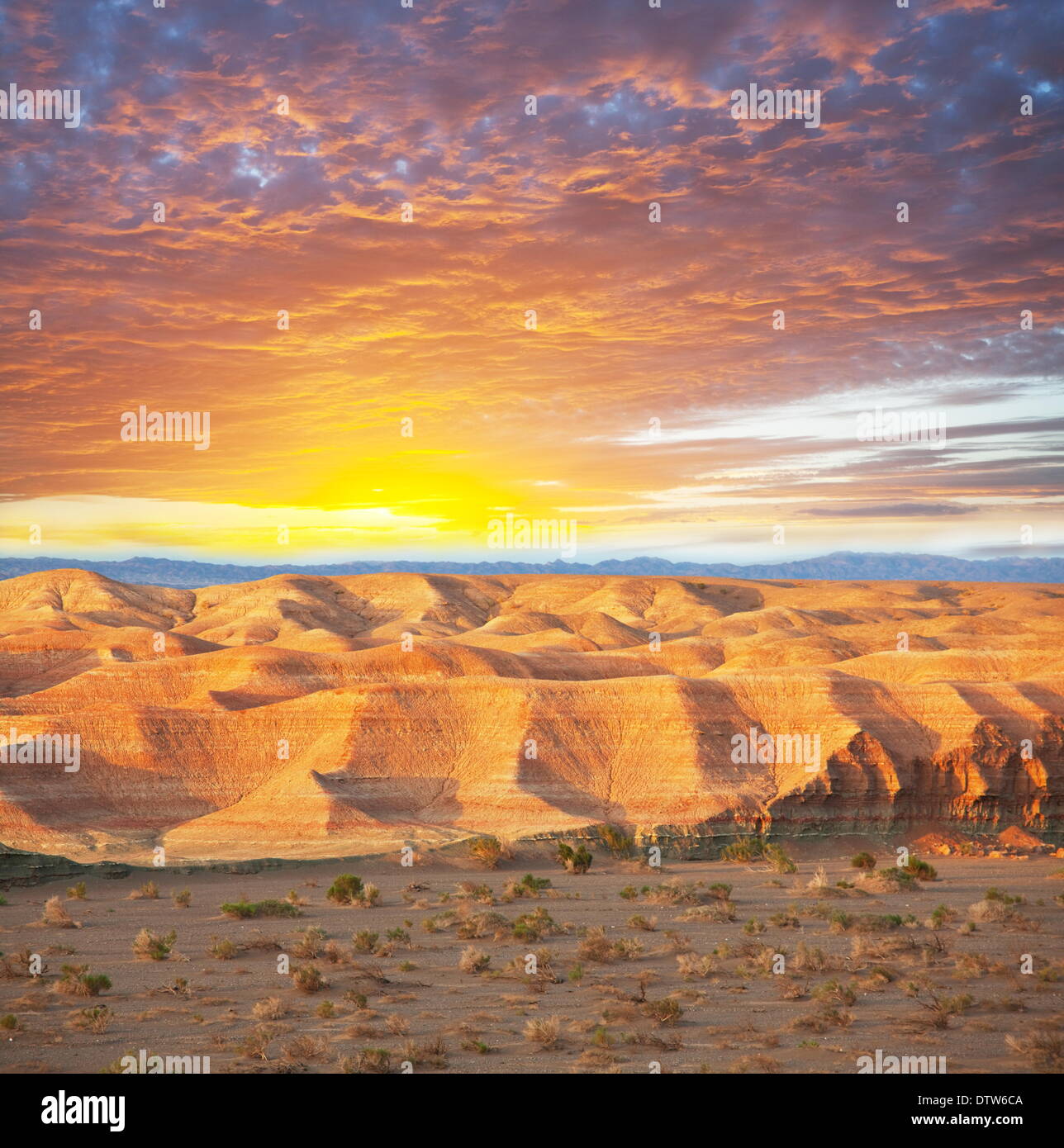 Deserto di Gobi Foto Stock