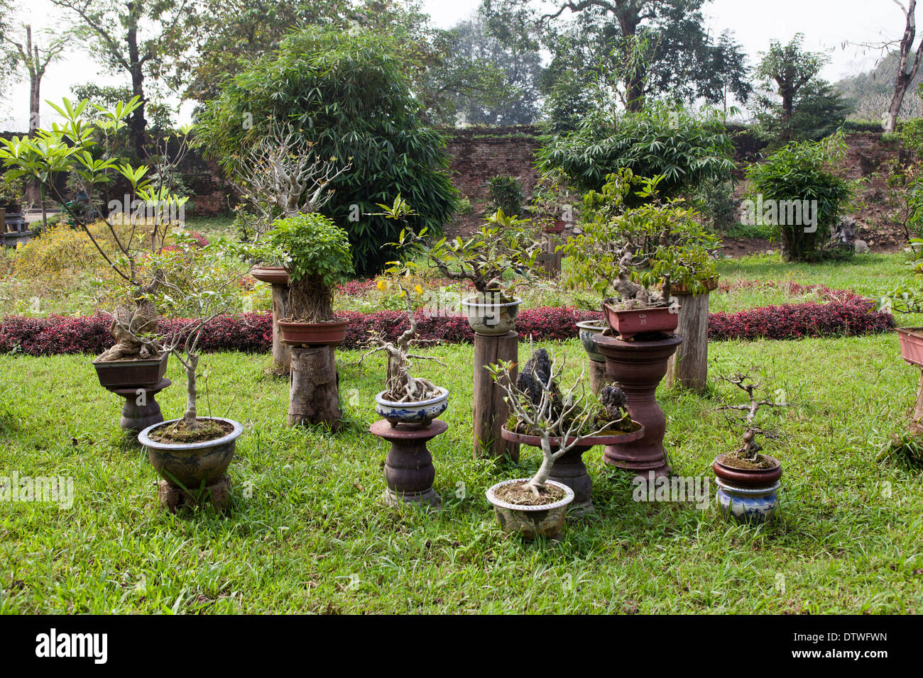 Giardino nel parco della città imperiale di tonalità Foto Stock