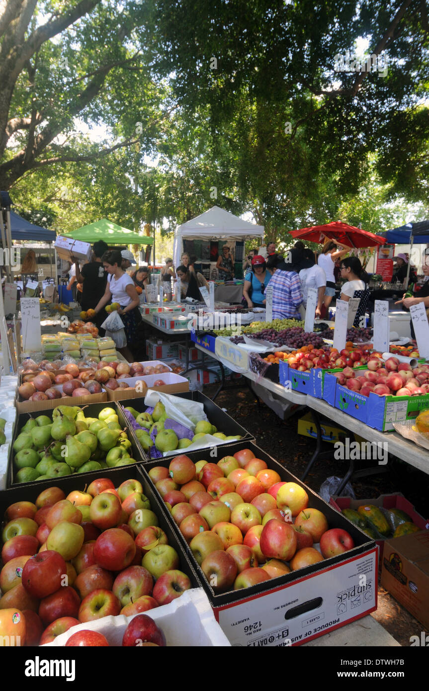 Pressione di stallo di frutta all'aperto mercato weeked nell'ombra di enormi alberi, West End, Brisbane, Queensland, Australia. No signor o PR Foto Stock