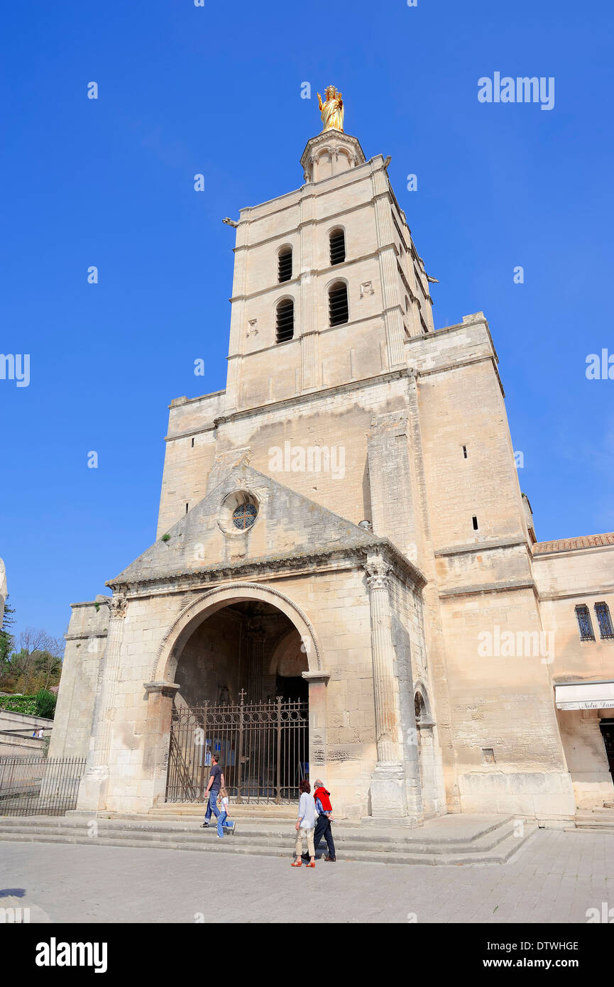 Cattedrale di Notre-Dame des Doms, Avignone Foto Stock