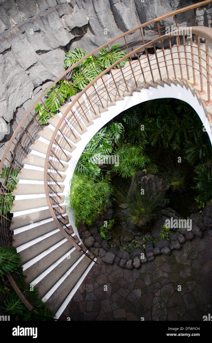Pietra ricurva Scalinata scendendo in un giardino con piante Foto Stock
