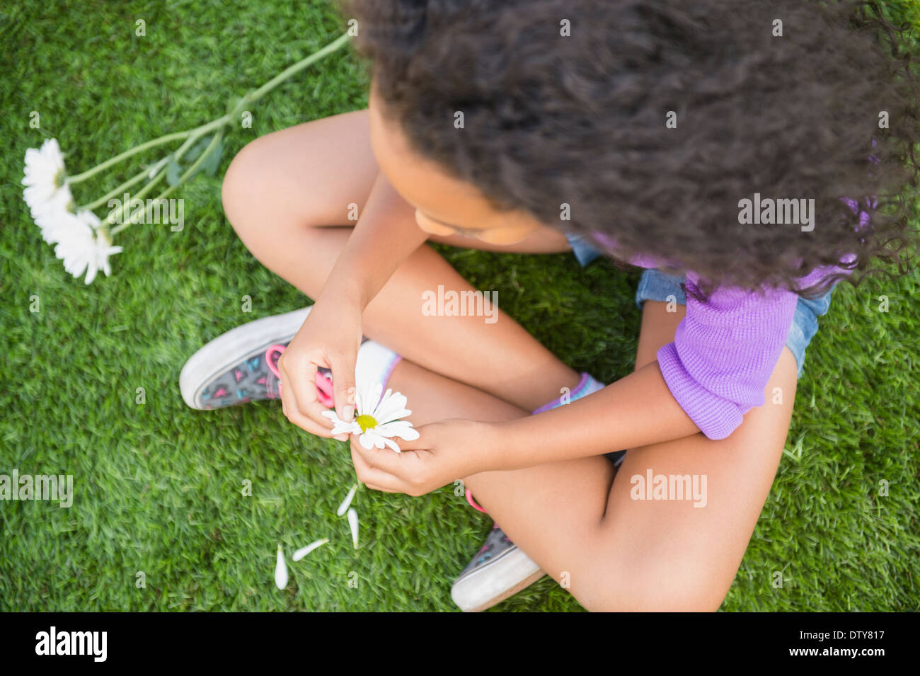 Razza mista ragazza petali di picking off daisy Foto Stock