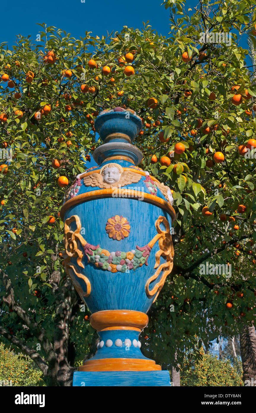 Parco Maria Luisa - vaso di ceramica e alberi di arancio, Siviglia, regione dell'Andalusia, Spagna, Europa Foto Stock