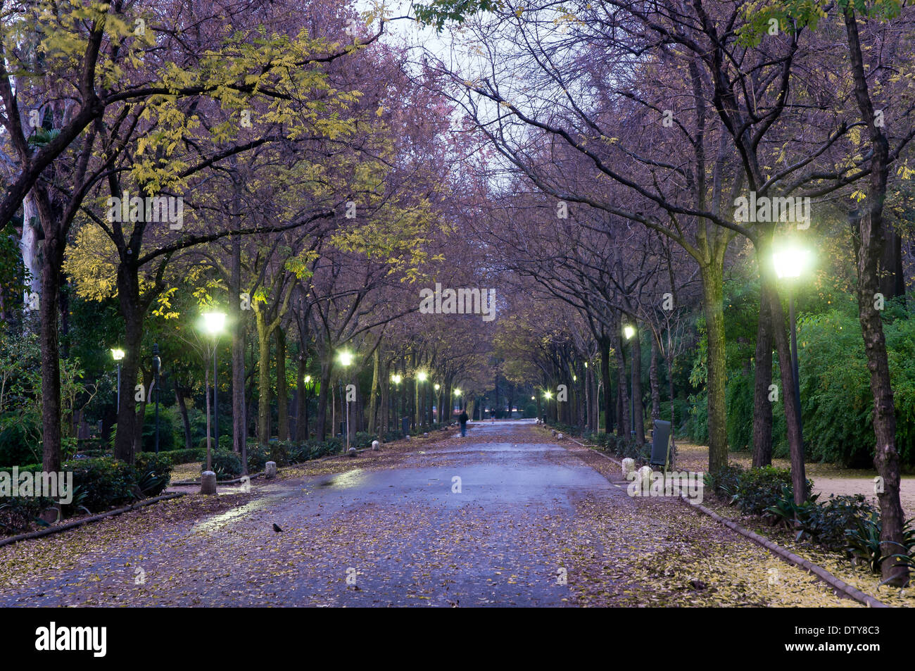 Il Parco Maria Luisa, promenade in autunno, Siviglia, regione dell'Andalusia, Spagna, Europa Foto Stock