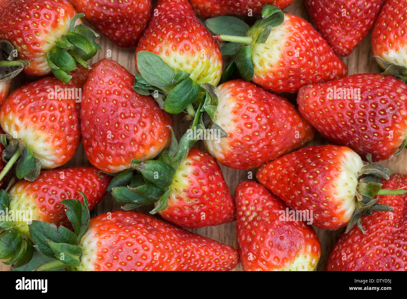 Fragaria. Fragola pattern su un sfondo di legno. Foto Stock