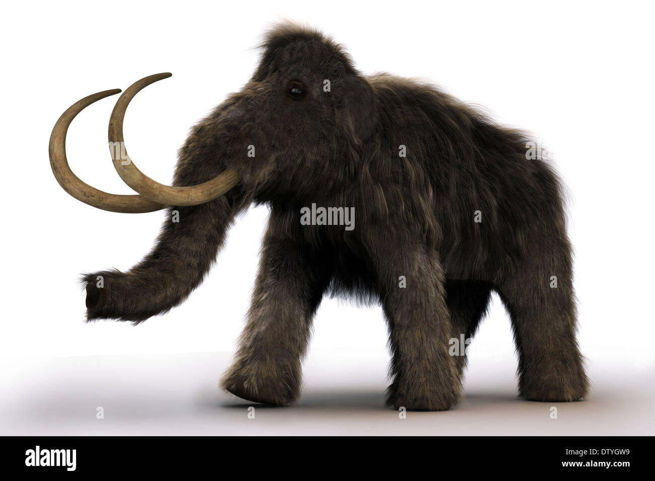 Wooly Mammoth Foto Stock