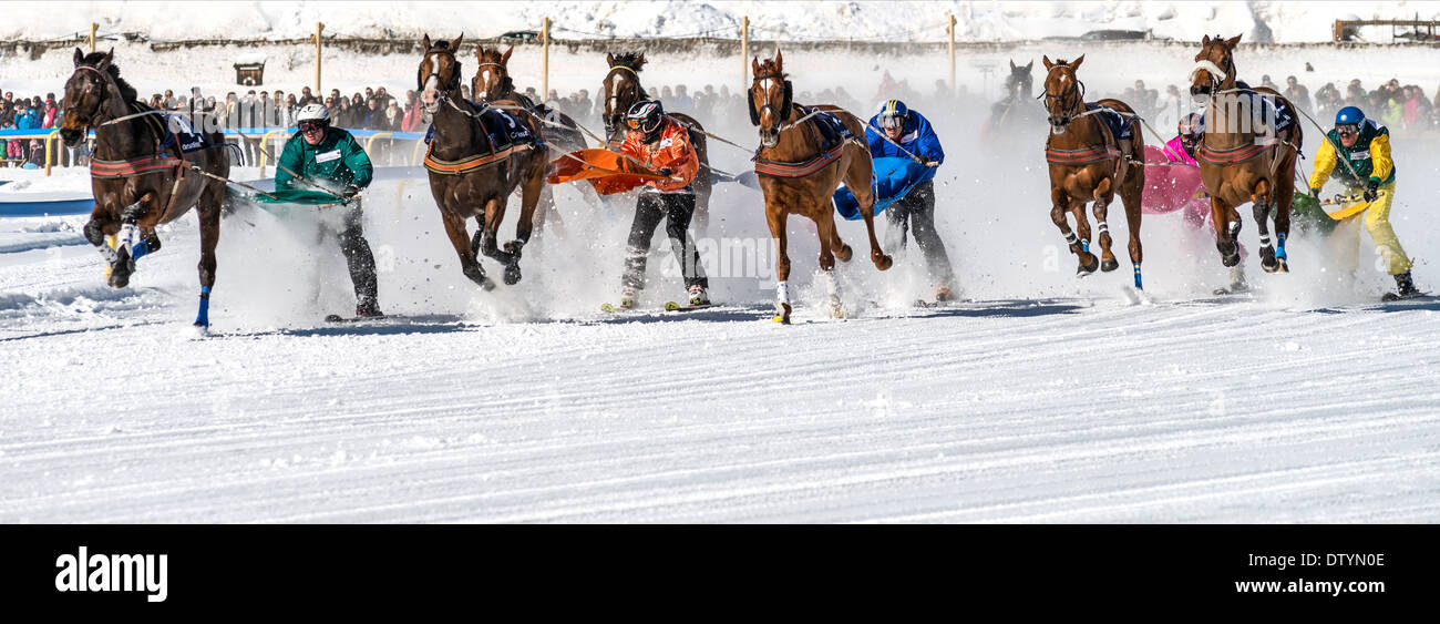 White Turf 2014 ski joering cavallo di razza di fronte St.Moritz Dorf, Svizzera Foto Stock