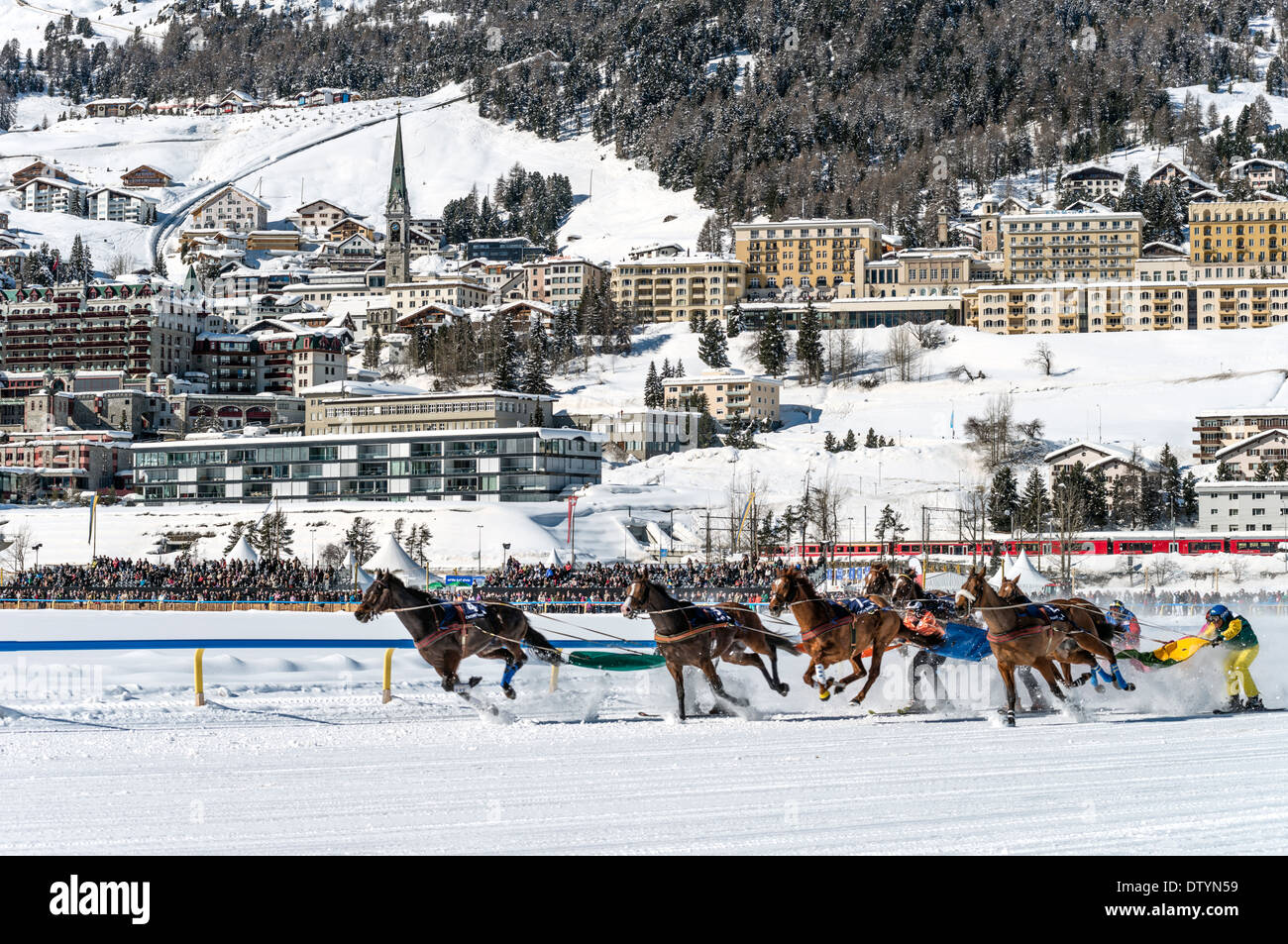 White Turf 2014 ski joering cavallo di razza di fronte St.Moritz Dorf, Svizzera Foto Stock