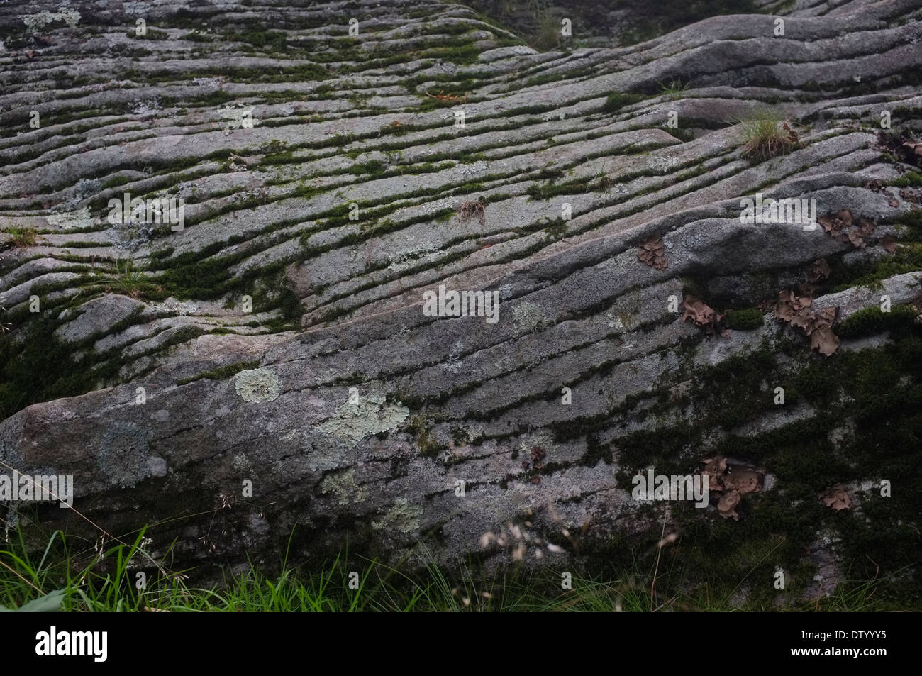 La pietra blu, rocce, strati, Catskills Mountains, Woodstock NY Foto Stock