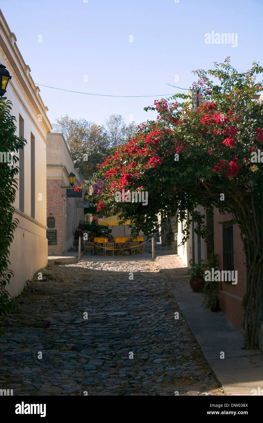 Colonia del Sacramento, Uruguay Foto Stock