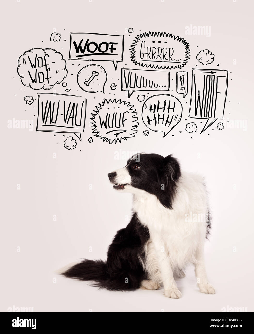 Cute cane che abbaia con bolle Foto stock - Alamy