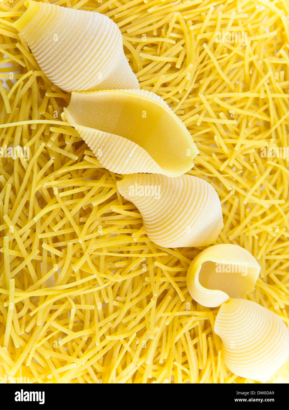 Vermicelli di pasta e shell Foto Stock