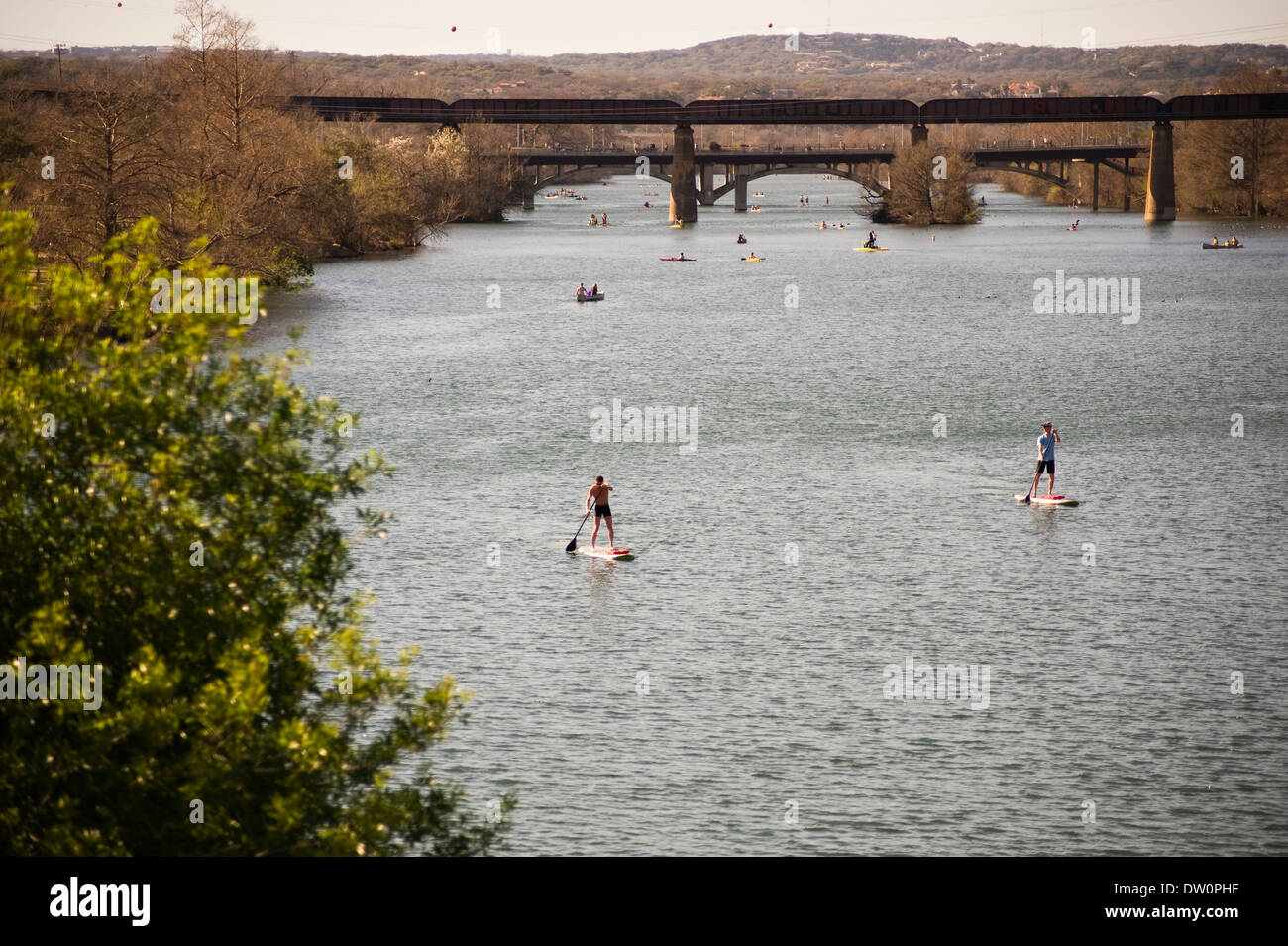 Stand Up Paddle sul Lago Lady Bird, Austin, Texas Foto Stock