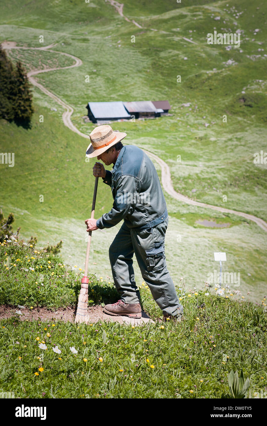 Giardiniere maschio in Schynige Platte giardino alpino svizzera Foto Stock