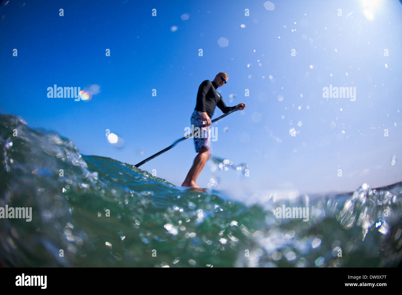 Stand up paddleboarder pagaie in North Devon chiaro acque dell'Oceano Atlantico in estate. Foto Stock