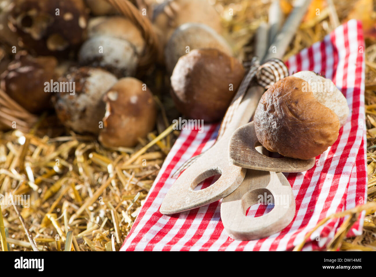 Raccolti di fresco funghi sulla paglia Foto Stock