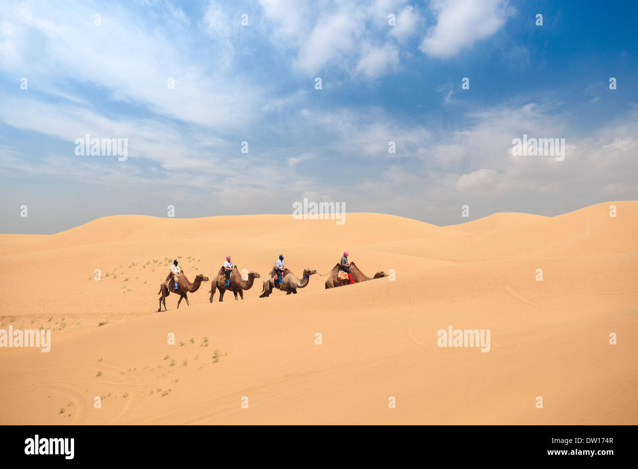 Deserto di sabbia travel Foto Stock