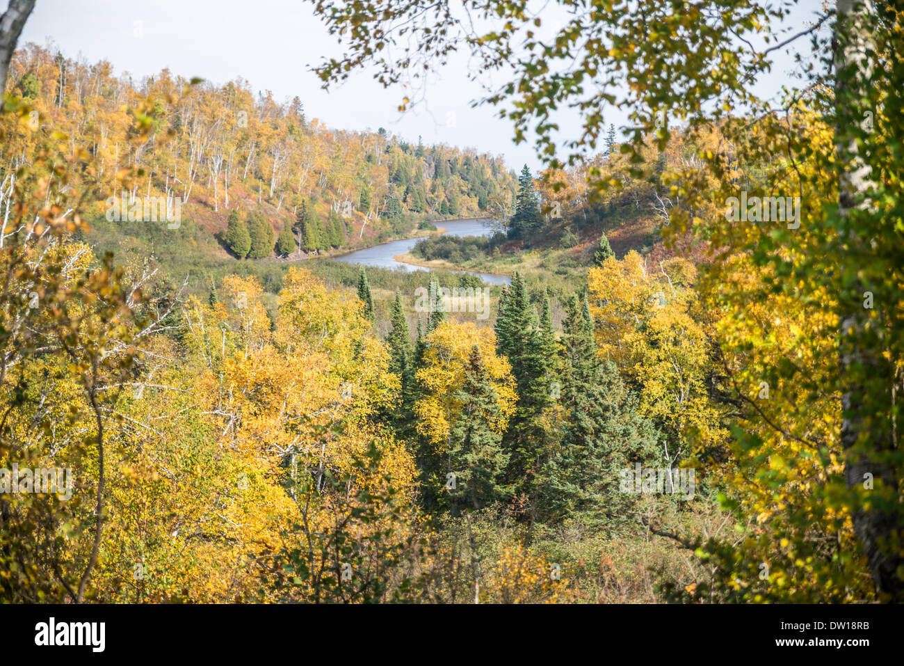 Colori di autunno Foto Stock